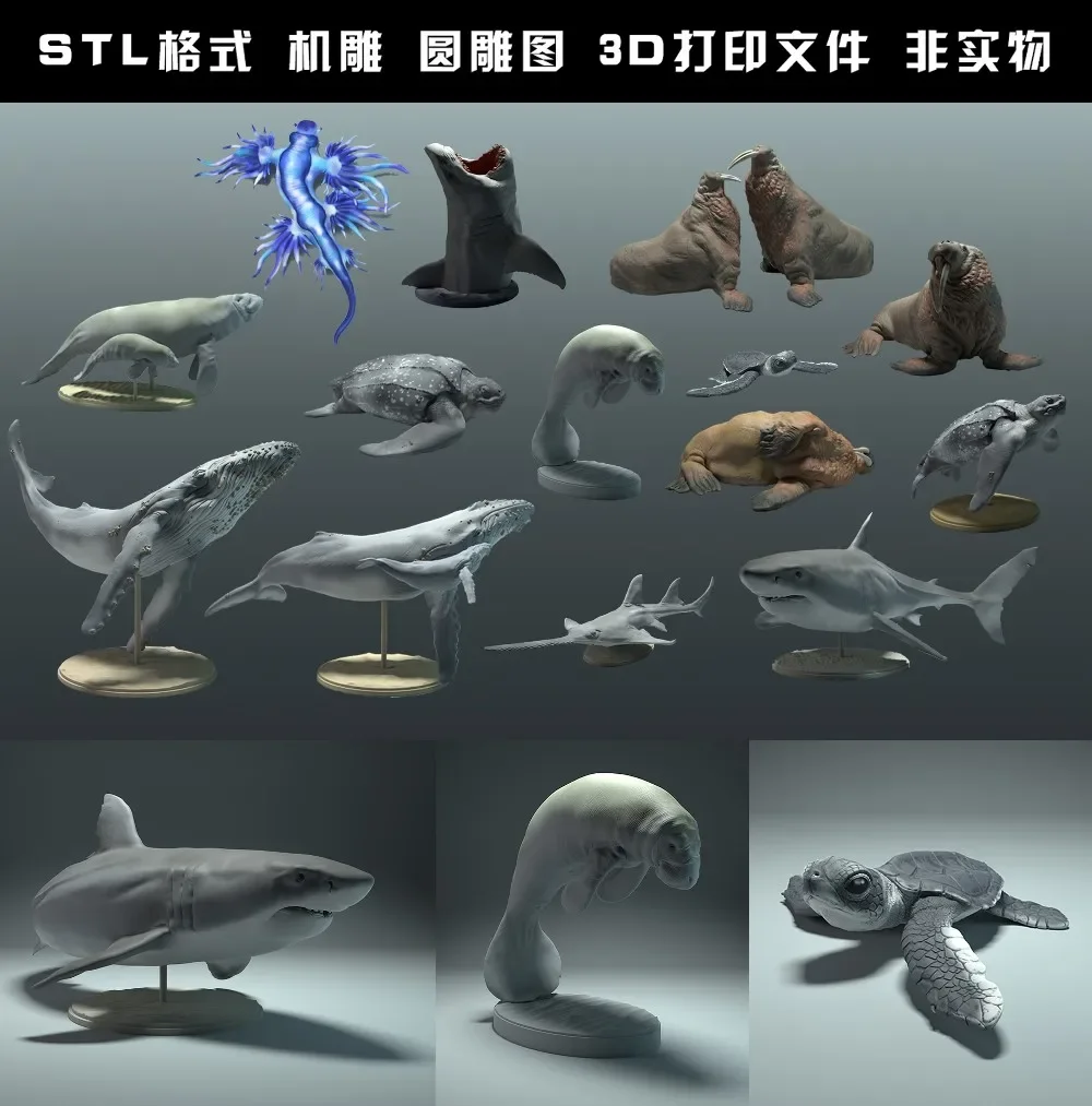 Hewan, beruang kutub, takin, s - 3D Printing File Stl ulasan dan harga